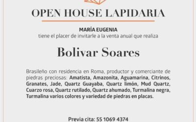 Bolivar Soares en Puebla