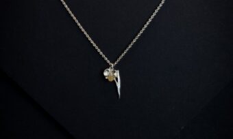 Narciso