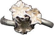 Anillo “Bouquet”