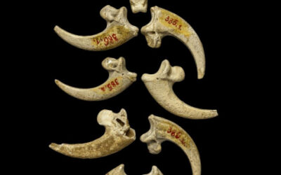 Denisovanos contemporáneos, 50,000 años de Joyería