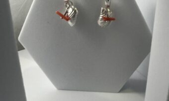 Aretes Caracol