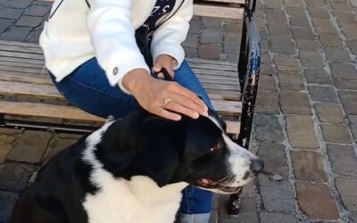 ¡La joyería que te acompaña en todas tus aventuras!